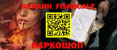 дурь Сланцы