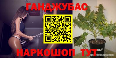ПСИЛОЦИБИНОВЫЕ ГРИБЫ Славгород
