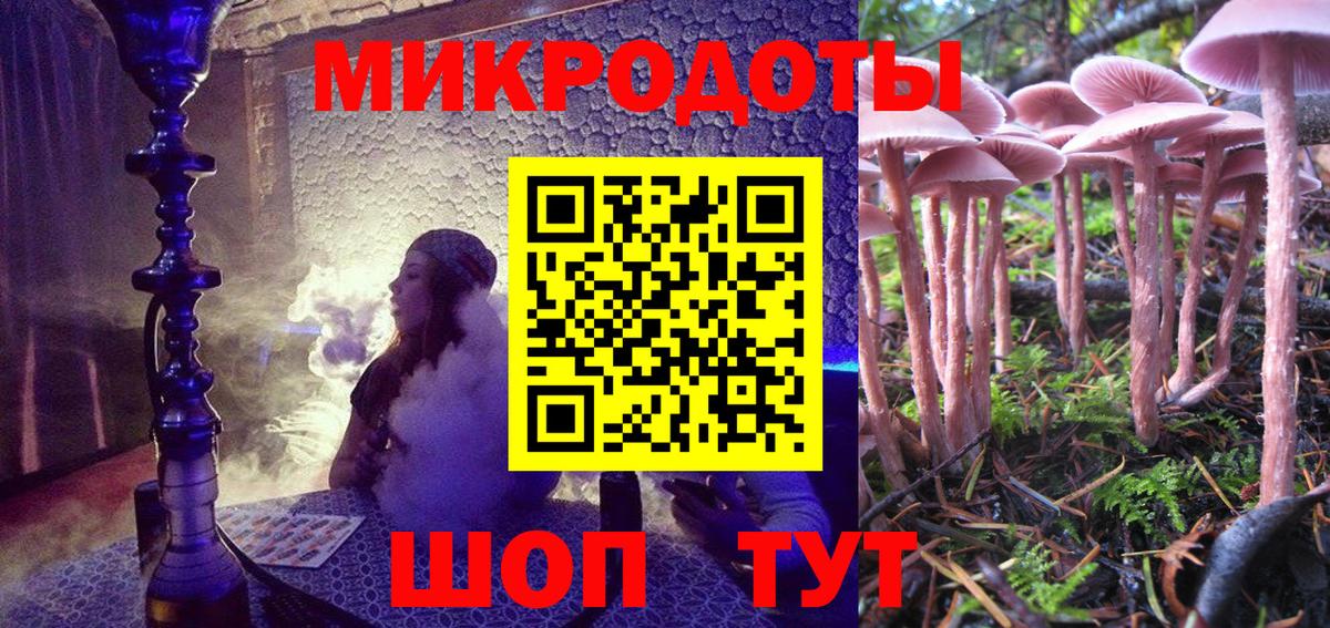 Галлюциногенные грибы Psilocybine cubensis Нягань